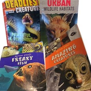 Awesome animals teacher resource